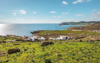 A tour of the dairies and farms of Mykonos